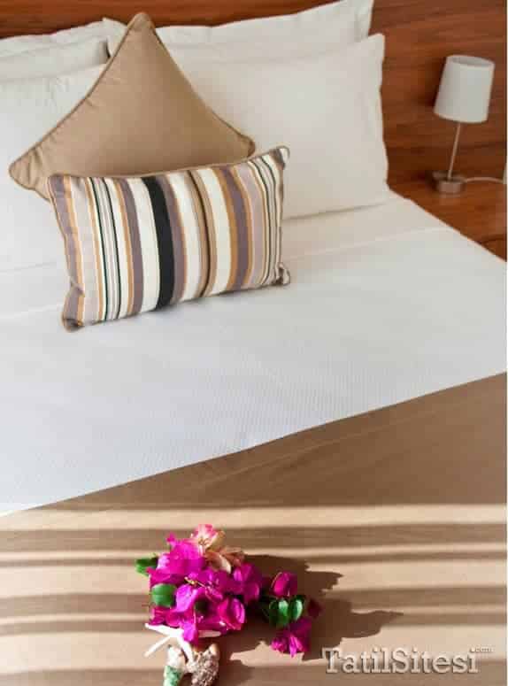 Olea Nova Hotel